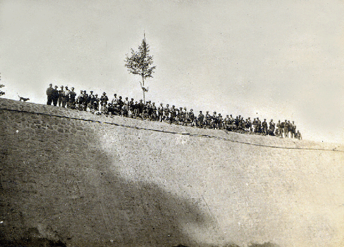 Les hommes ayant réalisé participé à la construction du Barrage Bertrand pose un arbre en symbole